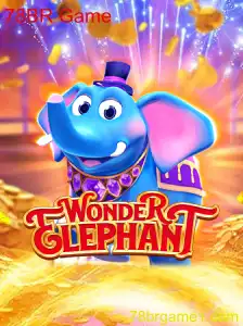 Descubra o Fascinante Mundo de WonderElephant: Uma Aventura Popular da 78BR Game